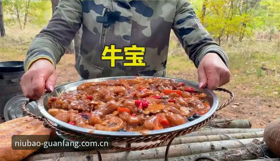 牛宝体育正版入口 资深用户分享:牛宝体育正版入口实战经验,教你一步到位找到官方渠道